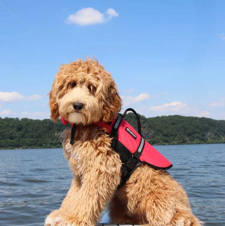 Adventure Life Jacket - Red
