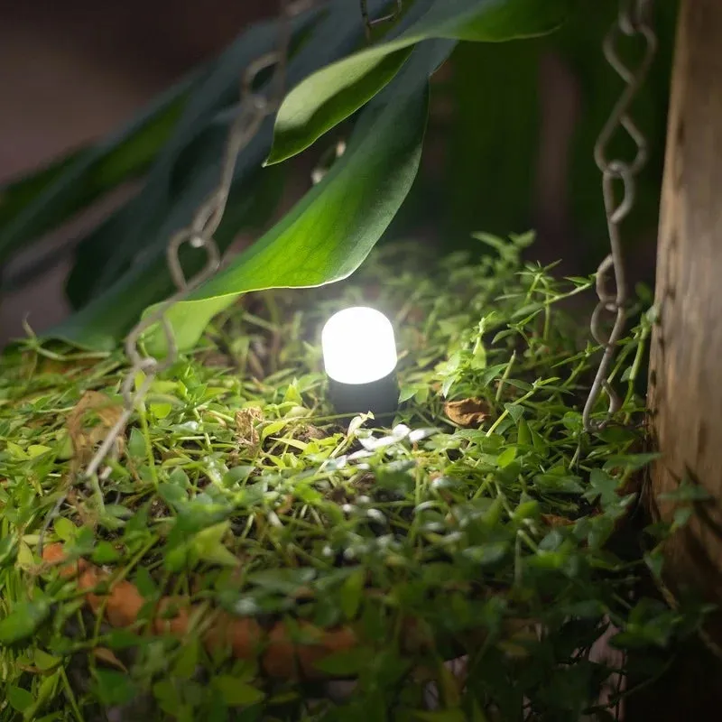 BioLite Solar Site Lights - Outdoor Trekking Camping Rechargeable
