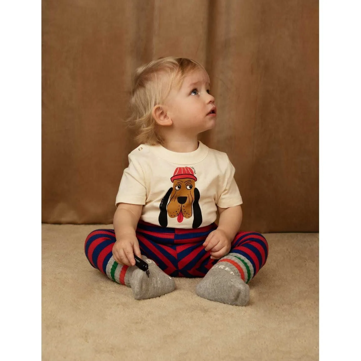 Bloodhound Sp Ss Tee