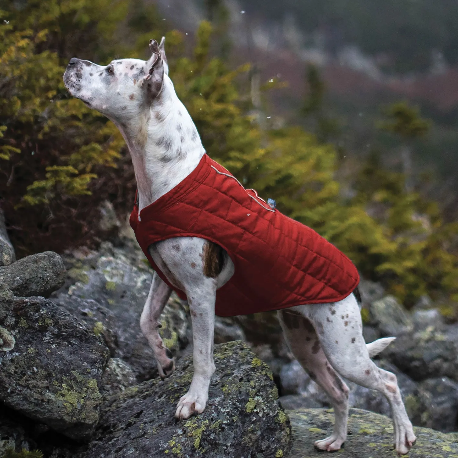 Kurgo Loft Jacket Chili Red/Charcoal
