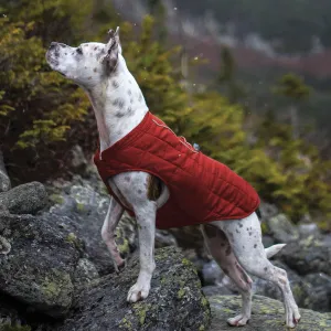 Kurgo Loft Jacket Chili Red/Charcoal