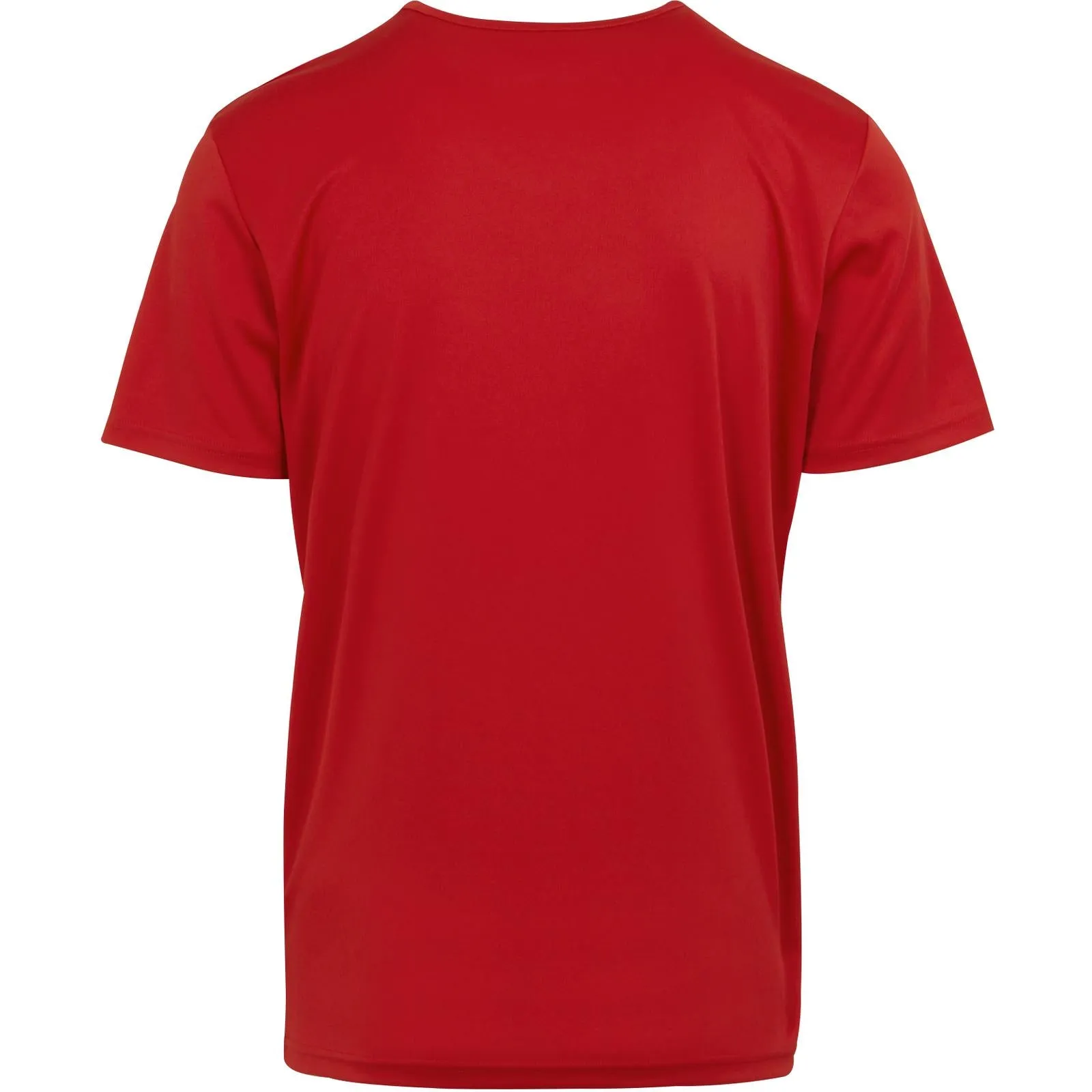 Regatta Mens Fingal VIII Graphic Print T-Shirt