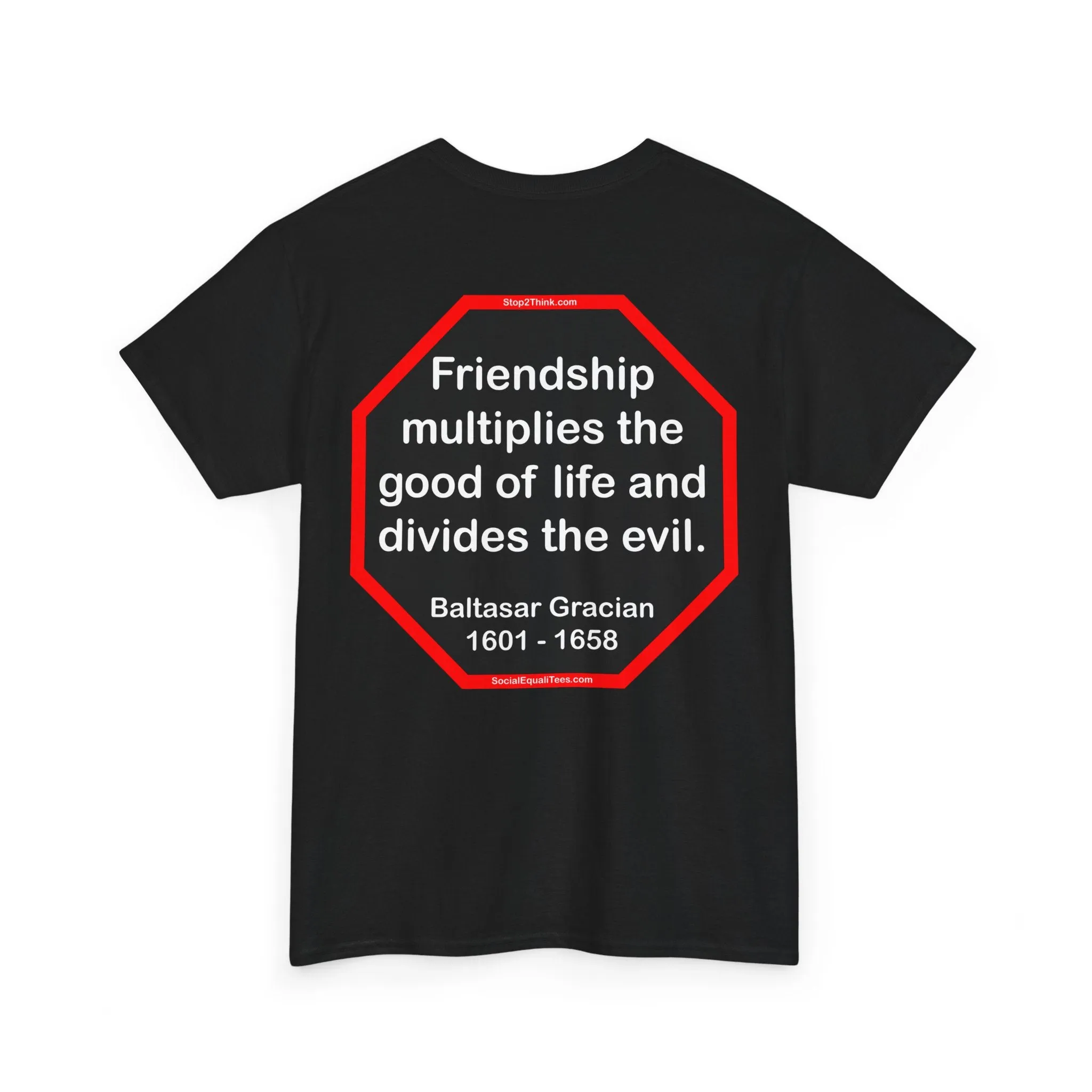 S2T- Friendship multiplies the good of life and divides the evil.    -  Baltasar Gracian  1601 - 1658 - blks2t