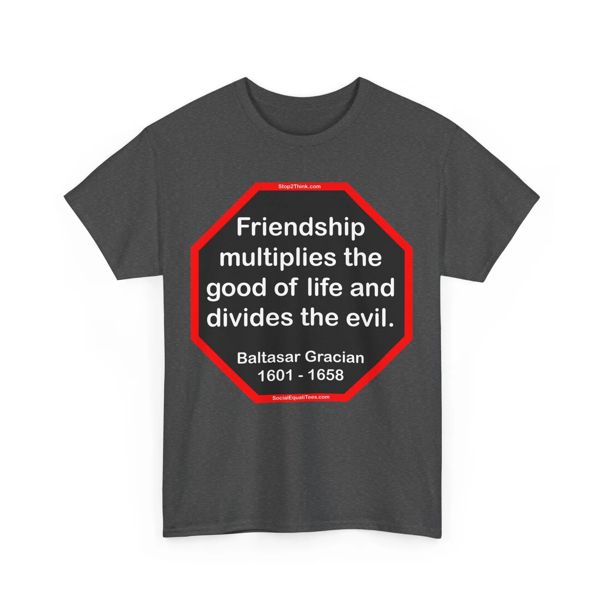 S2T- Friendship multiplies the good of life and divides the evil.    -  Baltasar Gracian  1601 - 1658 - blks2t