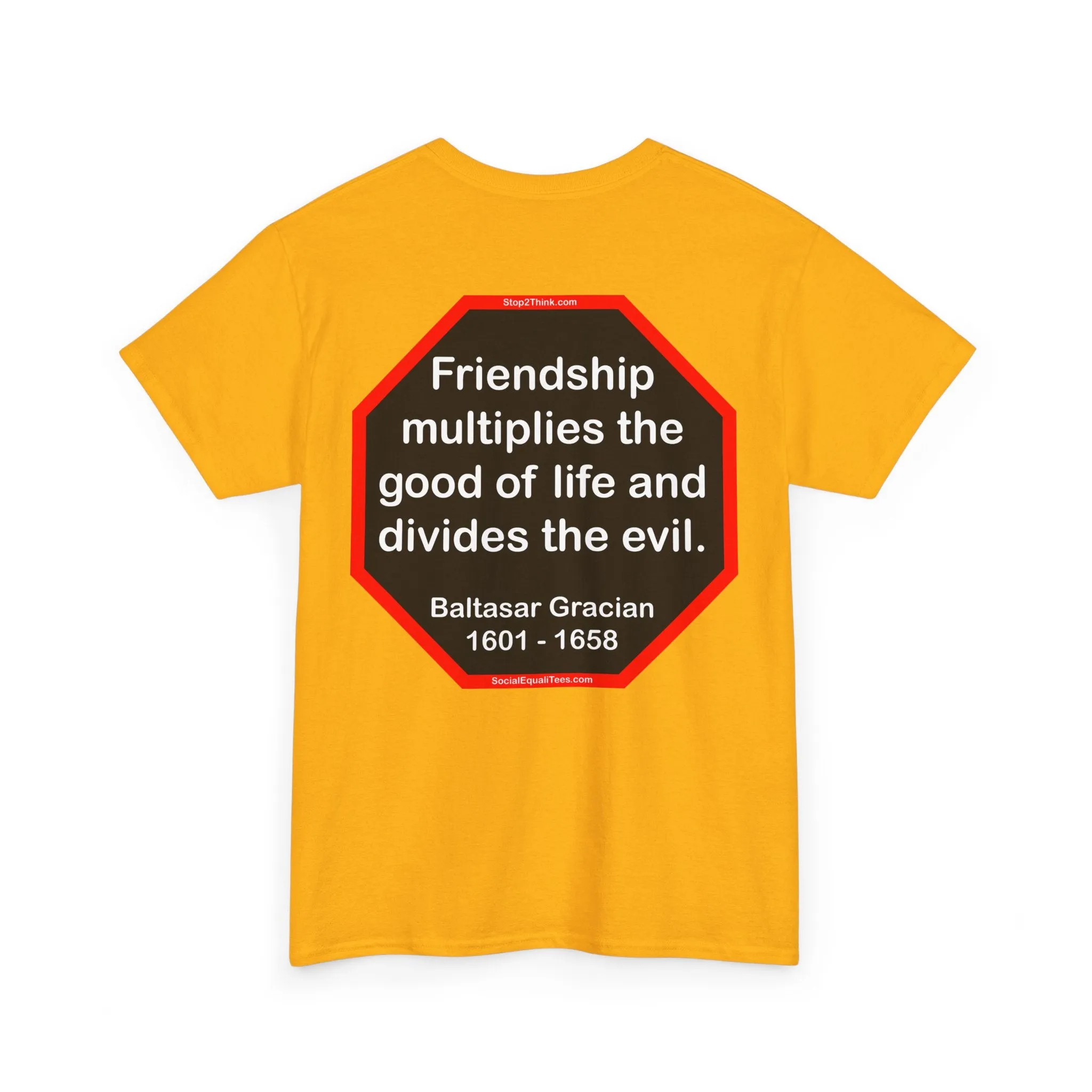 S2T- Friendship multiplies the good of life and divides the evil.    -  Baltasar Gracian  1601 - 1658 - blks2t