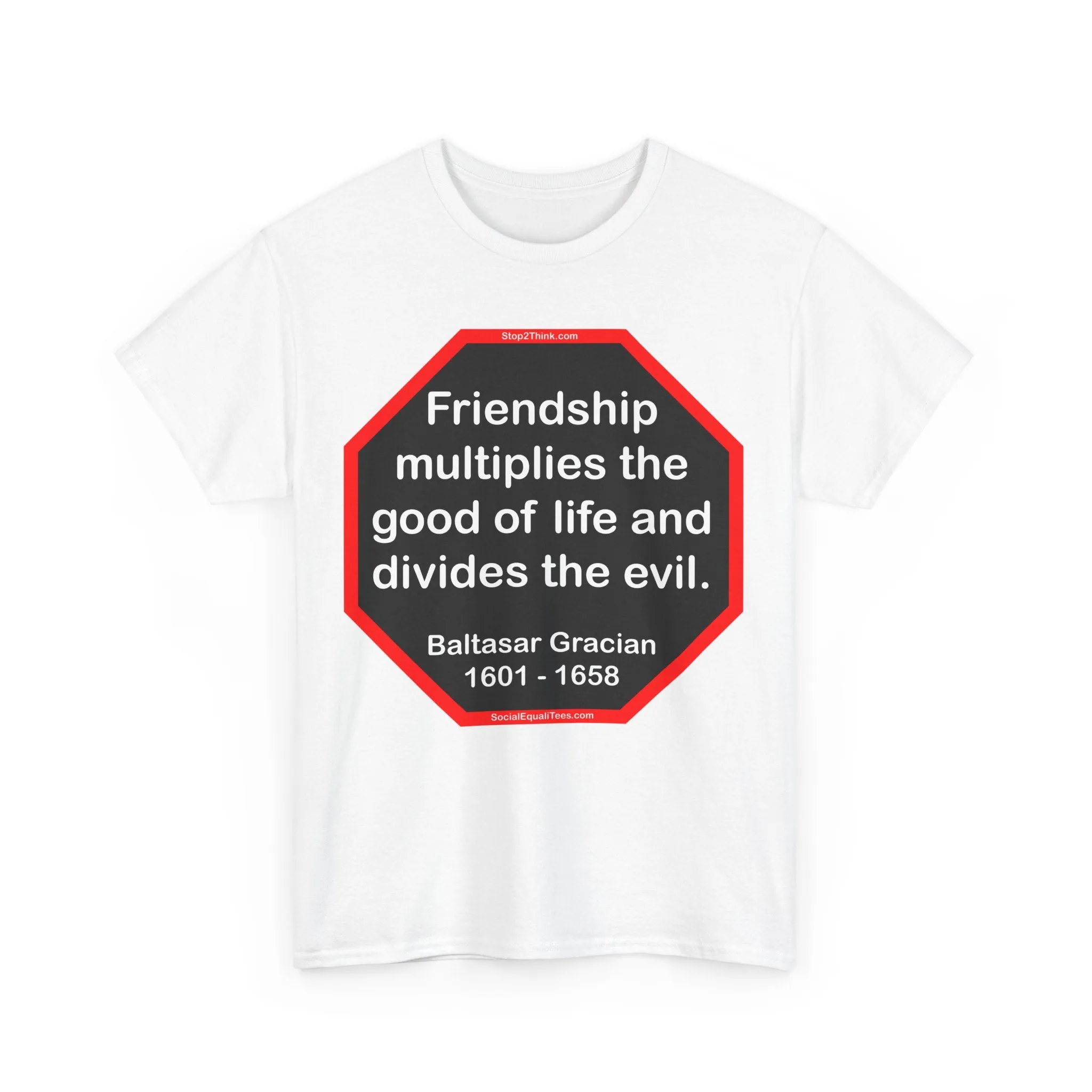 S2T- Friendship multiplies the good of life and divides the evil.    -  Baltasar Gracian  1601 - 1658 - blks2t
