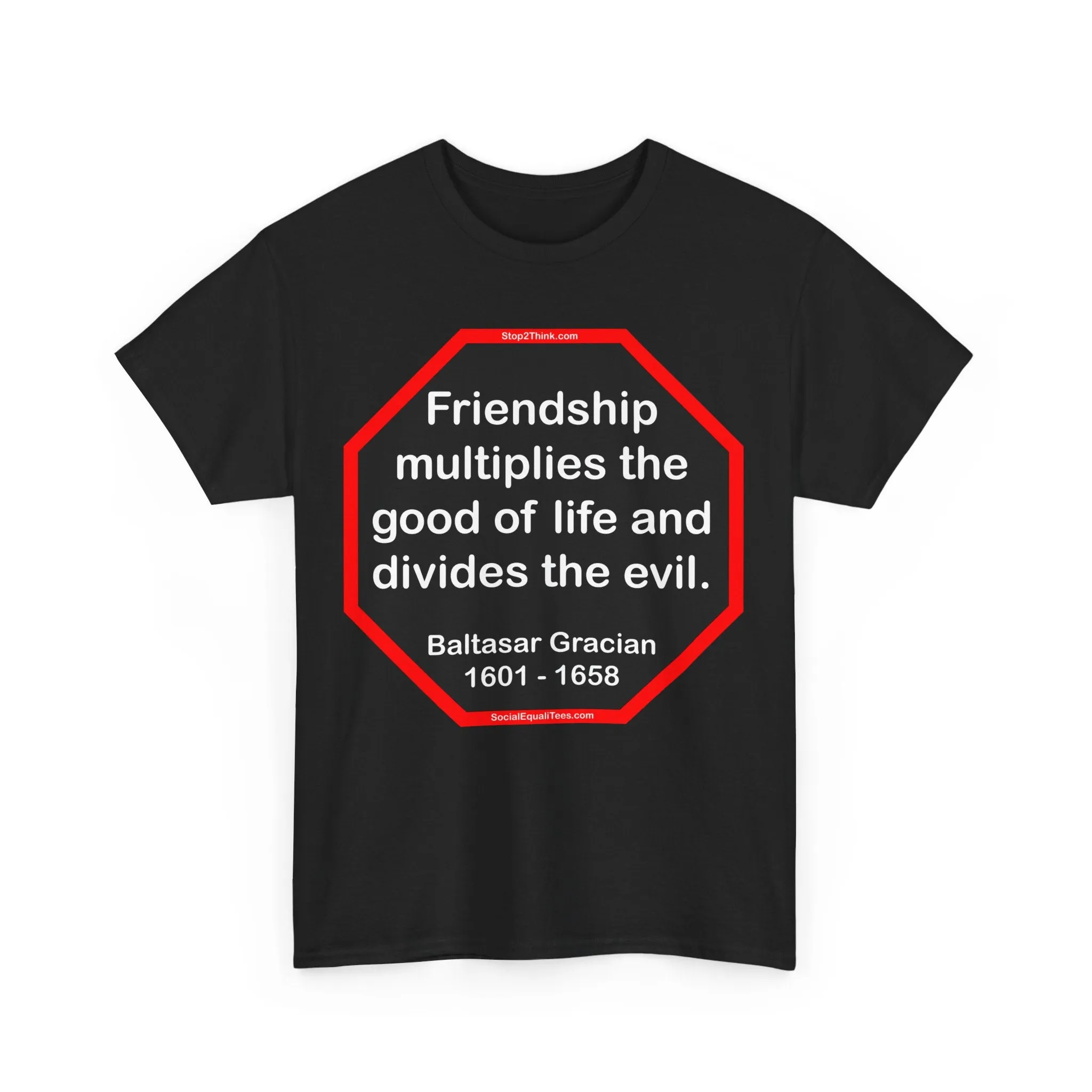 S2T- Friendship multiplies the good of life and divides the evil.    -  Baltasar Gracian  1601 - 1658 - blks2t