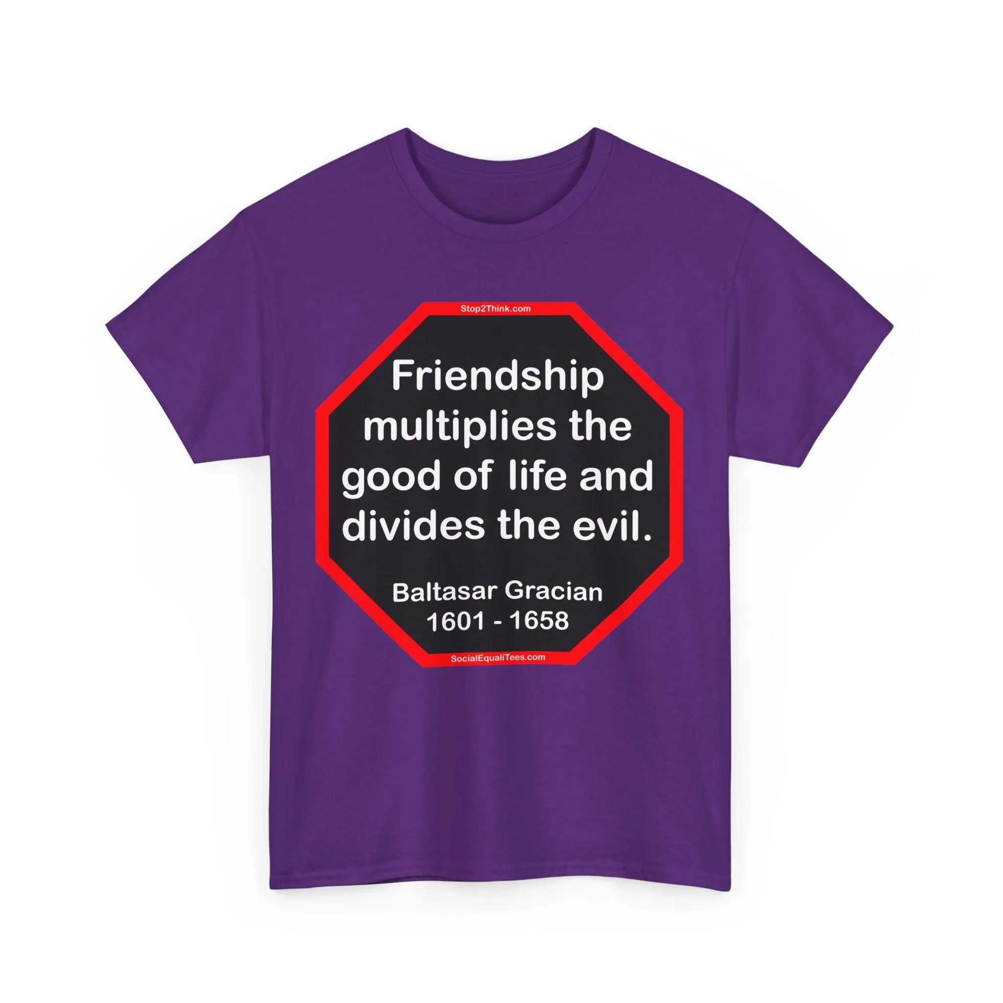 S2T- Friendship multiplies the good of life and divides the evil.    -  Baltasar Gracian  1601 - 1658 - blks2t