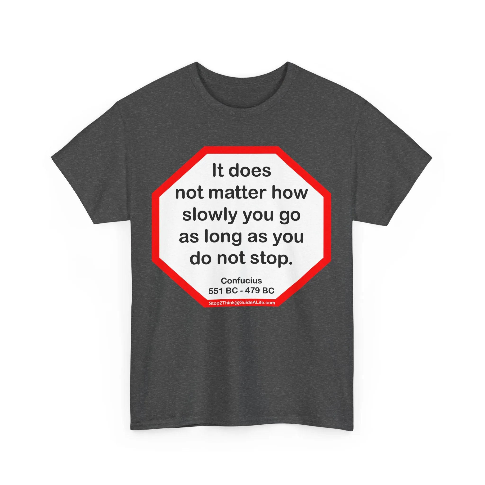 S2T- It does not matter how slowly you go as long as you do not stop.  -  Confucius  551 BC - 479 BC