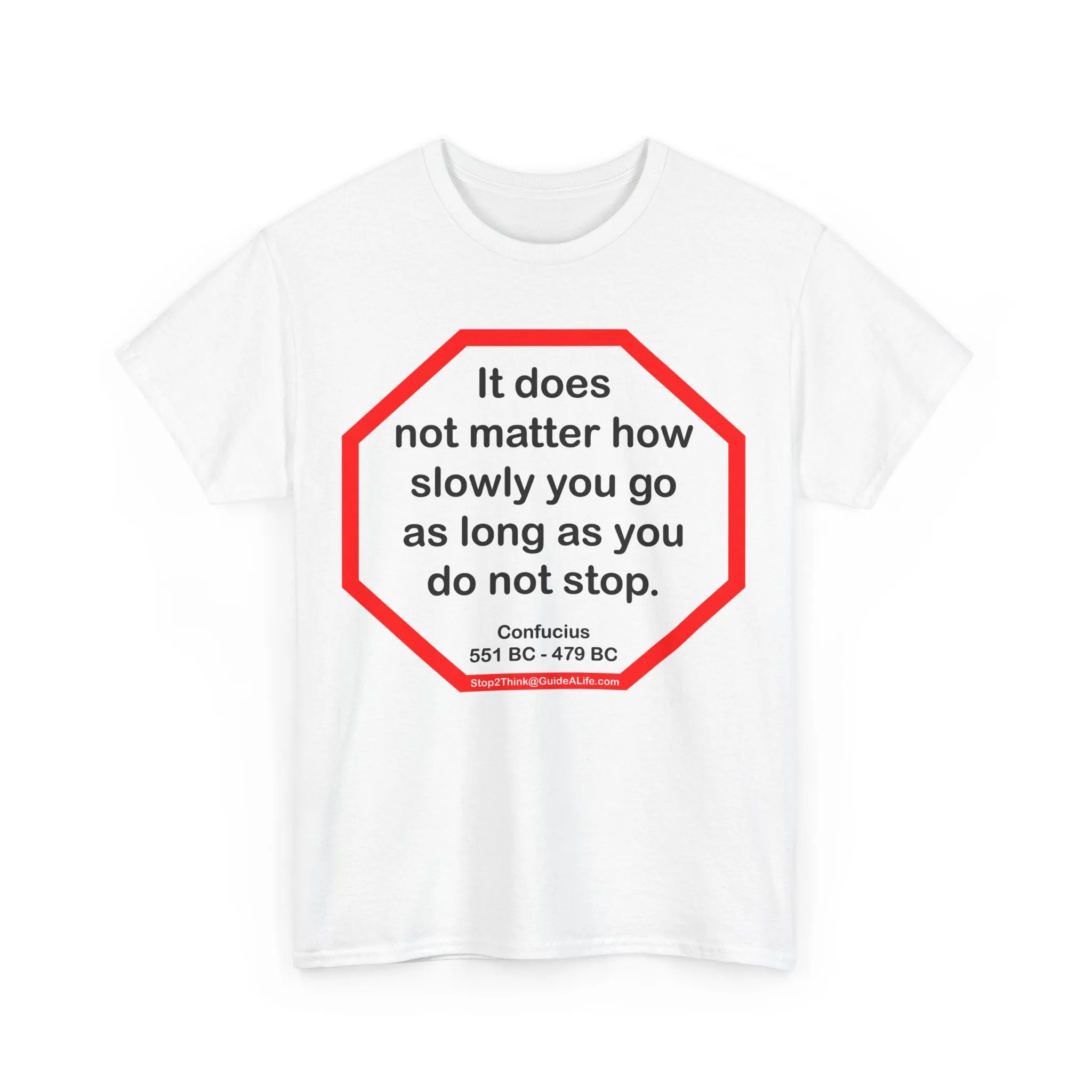 S2T- It does not matter how slowly you go as long as you do not stop.  -  Confucius  551 BC - 479 BC