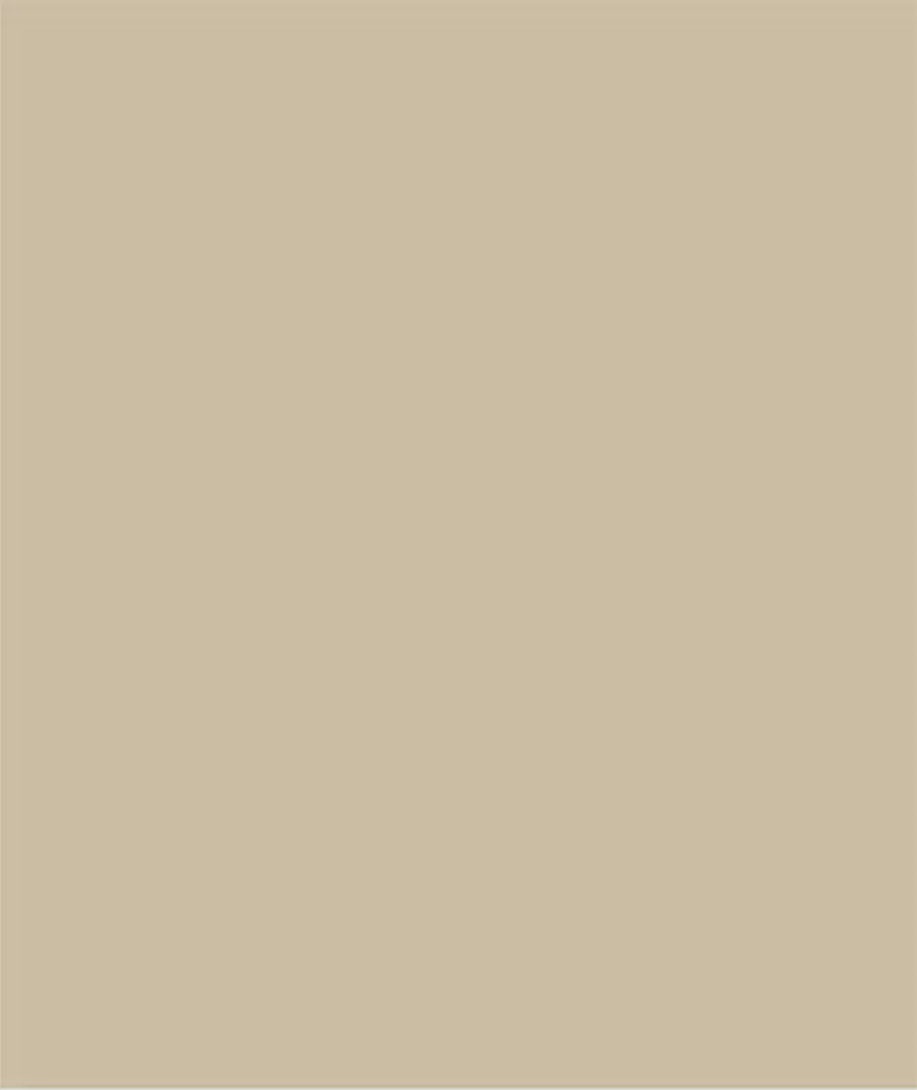 Sikkens Rubbol Solid Stain