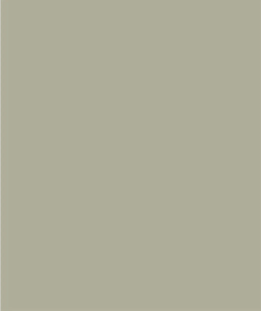 Sikkens Rubbol Solid Stain