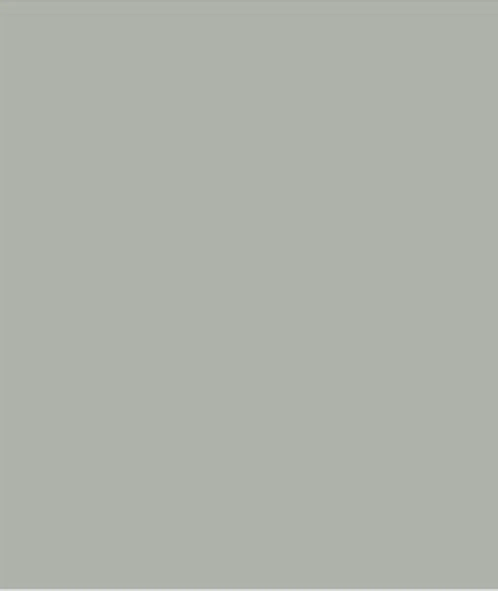 Sikkens Rubbol Solid Stain