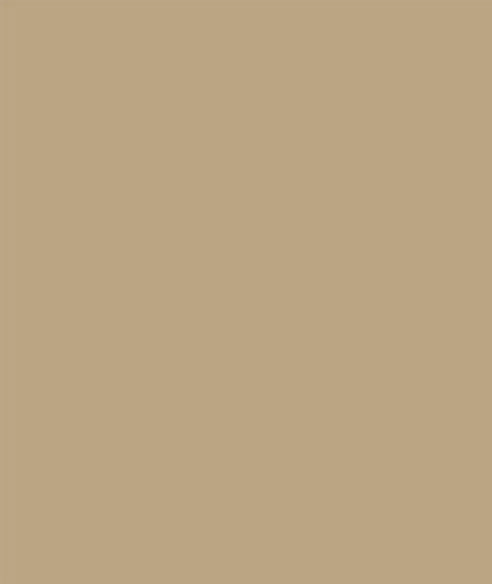 Sikkens Rubbol Solid Stain