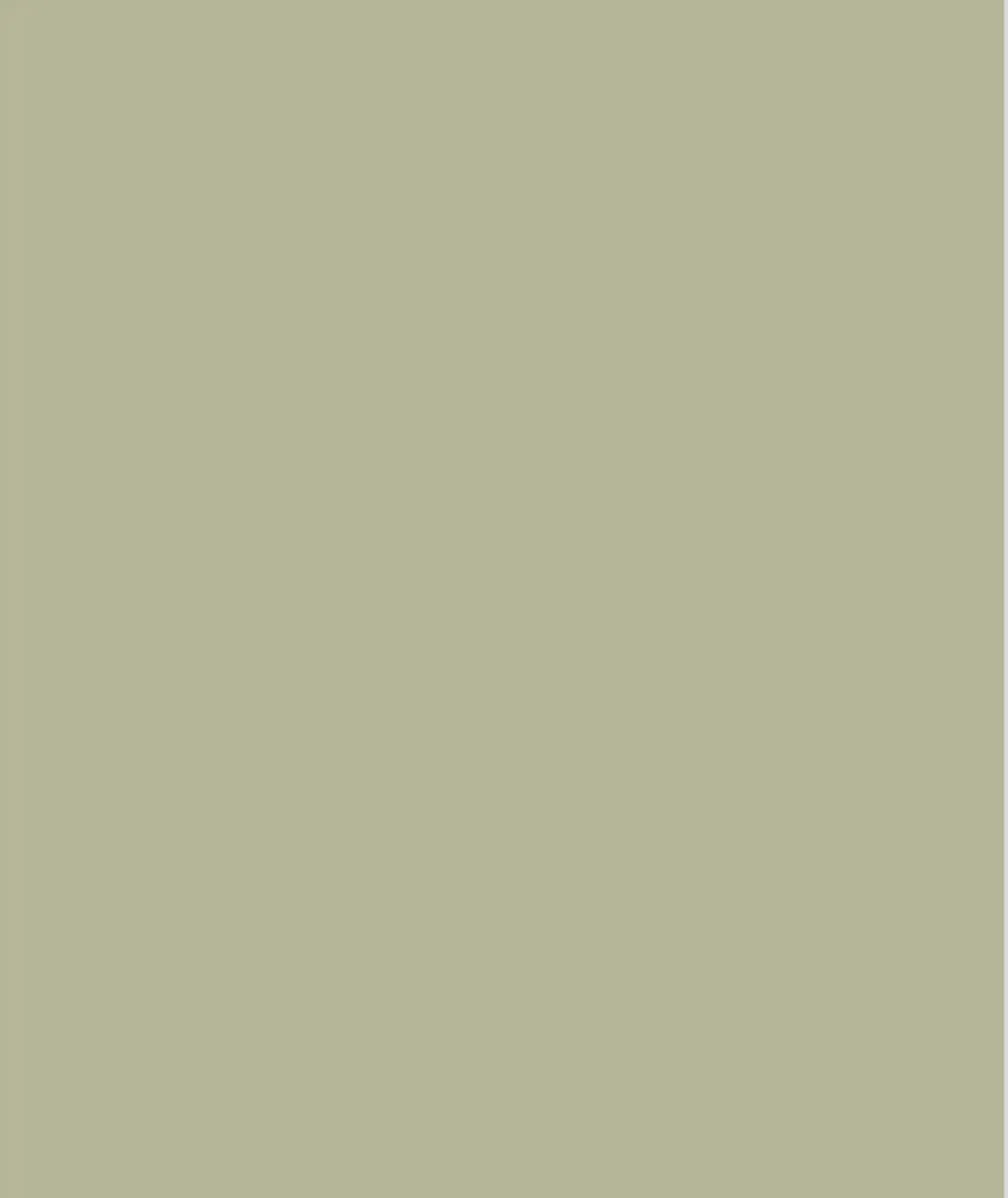 Sikkens Rubbol Solid Stain