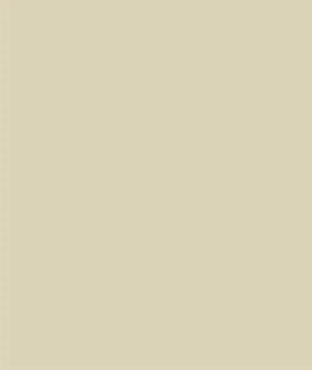 Sikkens Rubbol Solid Stain