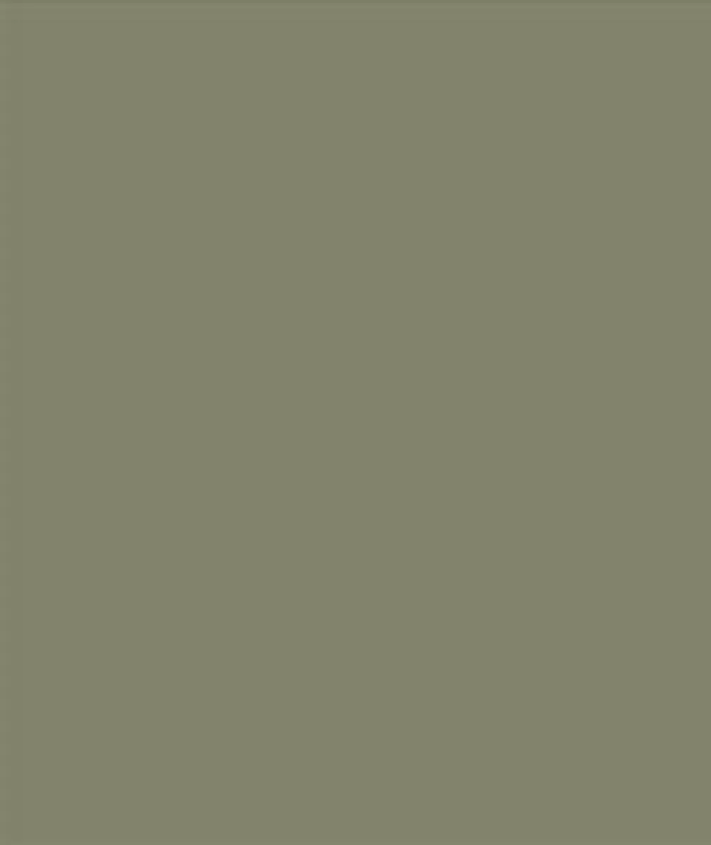 Sikkens Rubbol Solid Stain