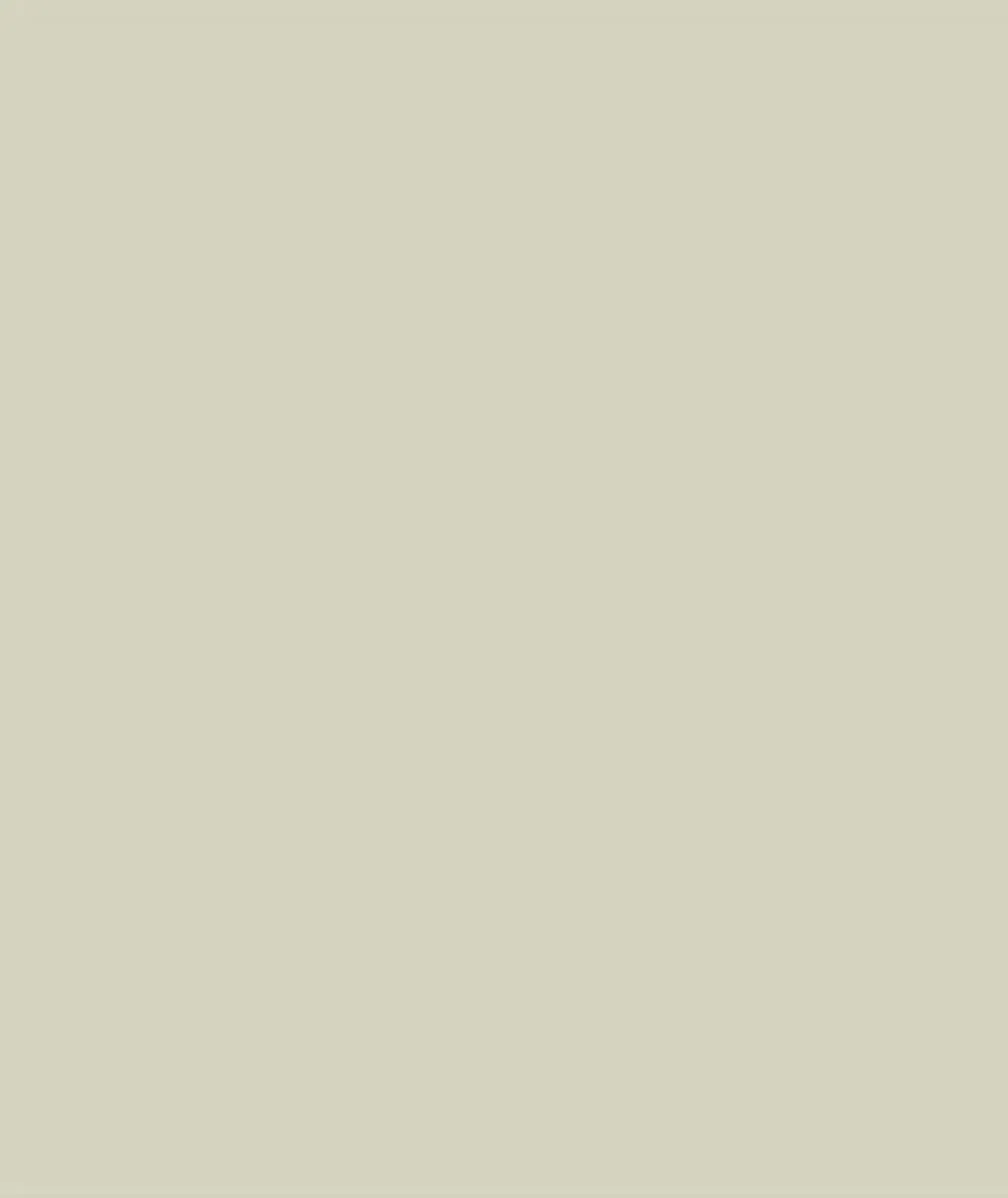 Sikkens Rubbol Solid Stain